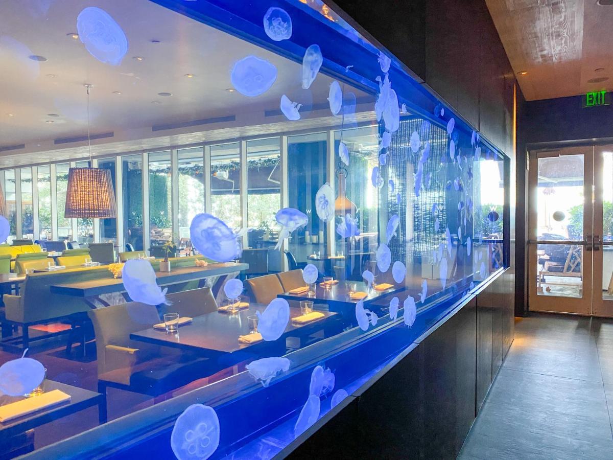 W Residences Fort Lauderdale Luxury Suites Across From Fort Lauderdale Beach Luaran gambar